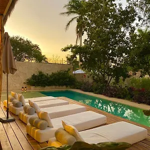 Agam 4*, Bacalar México